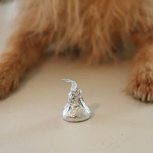 dog chocolate